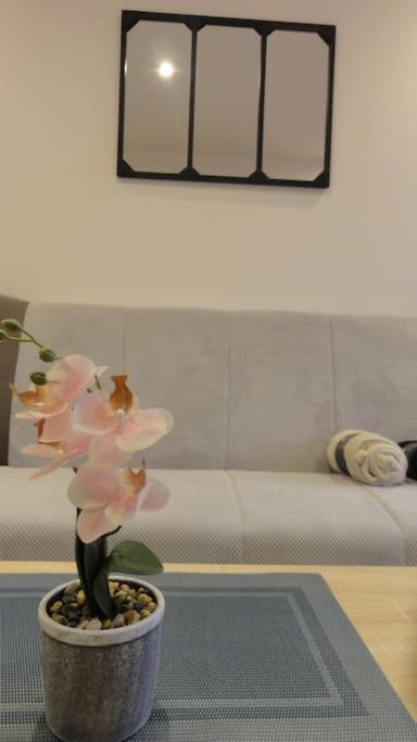 Le Belvedere Dernier Etage Avec Terrasse Wifi Fibre Apartment Tarbes Exterior foto